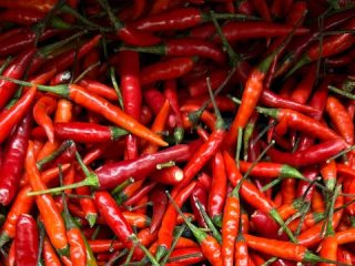 Jelang Lebaran, Harga Cabai di Lamongan Turun Drastis