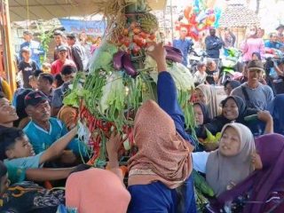 Sedekah Bumi Desa Sembung, Wujud Syukur atas Hasil Panen Melimpah