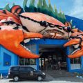 WBL dan Maharani Zoo Tawarkan Harga Promo Selama Libur Iduladha 2025