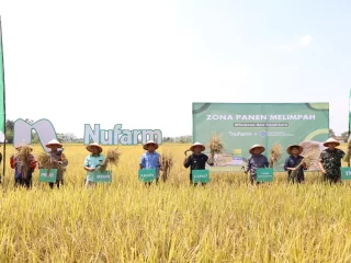 PT Nufarm Indonesia Genjot Produktivitas Pertanian Lewat Zona Panen Melimpah