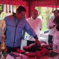 Haornas 2025 di Lamongan, Atlet Berprestasi Terima Insentif dari Pemkab