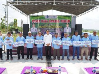 Lamongan Genjot Budidaya Bawang Merah untuk Perkuat Ketahanan Pangan