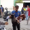 Program Makan Bergizi Gratis Diduga Jadi Pemicu Keracunan Siswa SMAN 2 Lamongan