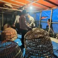 Polisi Gerebek Dua Arena Sabung Ayam di Kabupaten Lamongan