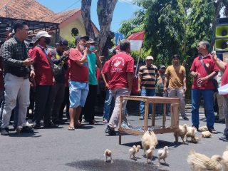 Peternak Ayam Broiler Lamongan Demo, Protes Gangguan Oknum Aparat