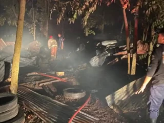 Korsleting Listrik Diduga Jadi Pemicu Kebakaran Kandang Ayam di Lamongan