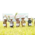 Produksi Padi Lamongan Melonjak Tajam di 2025, Predikat Lumbung Pangan Nasional Kian Kuat