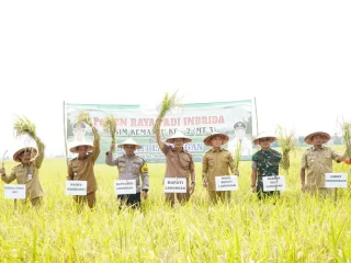 Produksi Padi Lamongan Melonjak Tajam di 2025, Predikat Lumbung Pangan Nasional Kian Kuat