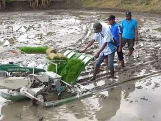 Petani Tadah Hujan Lamongan Sambut Bantuan Mesin Transplanter untuk Tingkatkan Produktivitas