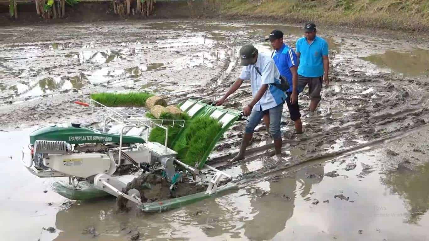 Petani Tadah Hujan Lamongan Sambut Bantuan Mesin Transplanter untuk Tingkatkan Produktivitas