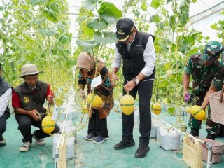 Program P4S Solokuro Jadi Motor Pembinaan Petani Milenial di Lamongan