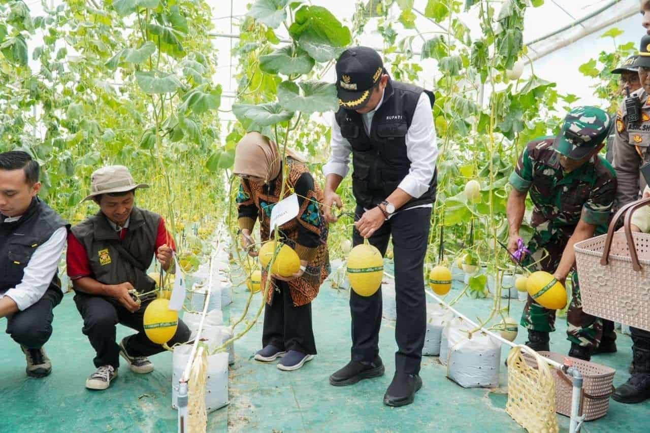 Program P4S Solokuro Jadi Motor Pembinaan Petani Milenial di Lamongan