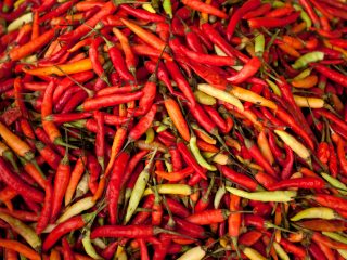 Jelang Nataru, Harga Cabai di Lamongan Melonjak hingga Rp80 Ribu per Kilo