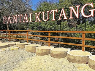 Pantai Kutang Lamongan, Surga Tersembunyi dengan Panorama Mangrove yang Alami